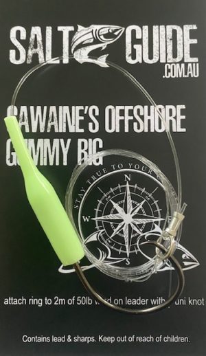 Gawaine’s offshore gummy rig